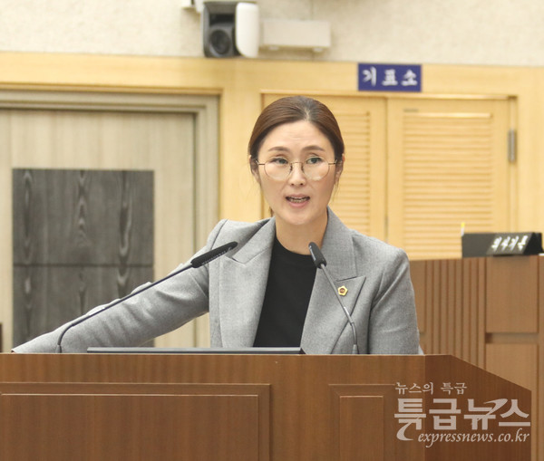김현미 세종시의원